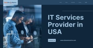 IT services provider in USA