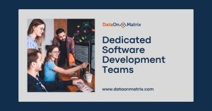 Software Development Teams